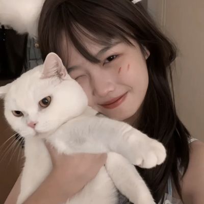 BOB体育综合官方平台APP